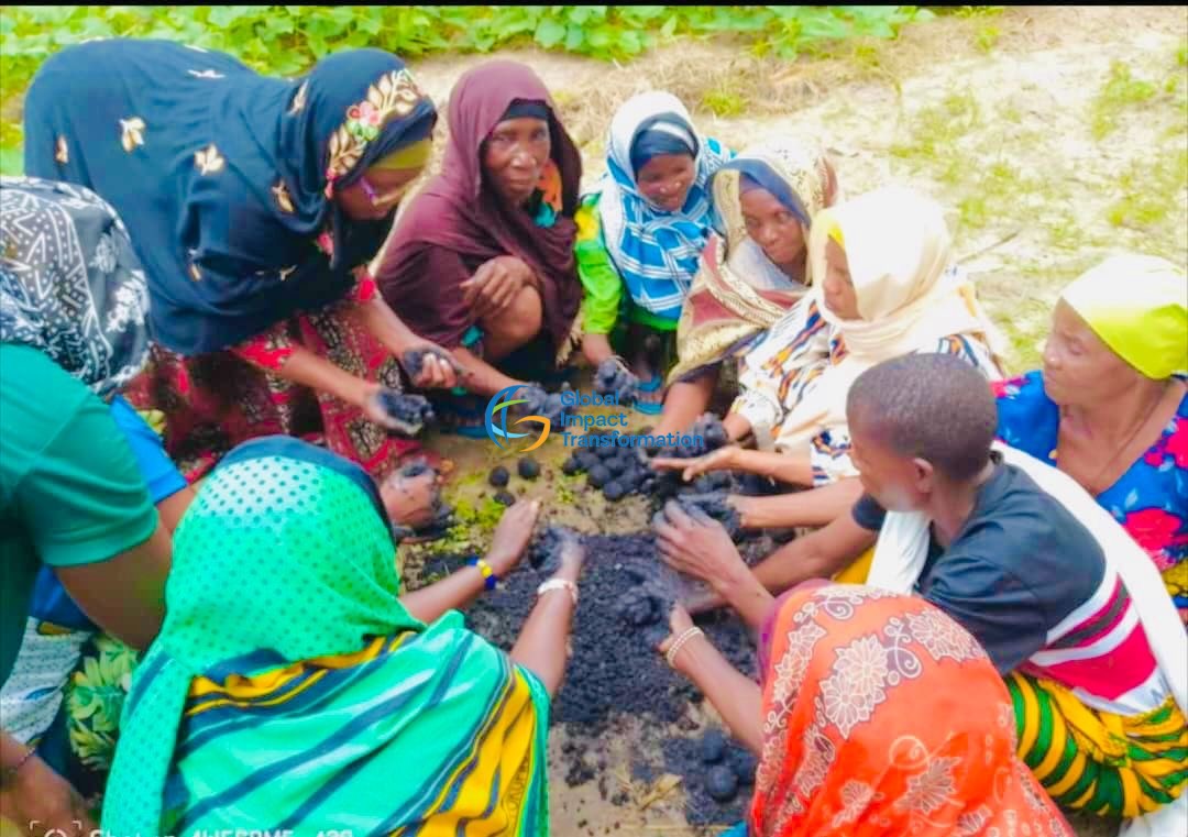 “Tupambane”  Let’s Rise Together: Grassroots Women’s Leadership Advancing Climate-Resilient Livelihoods and Building Peaceful, Sustainable Communities Through Green Energy Innovation