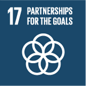 SDG 17
